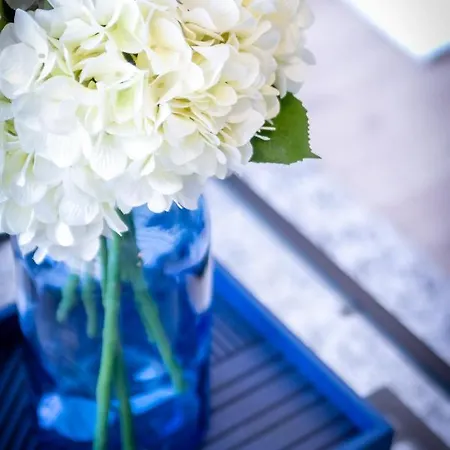 Apartamento Banus - Centre Soriano